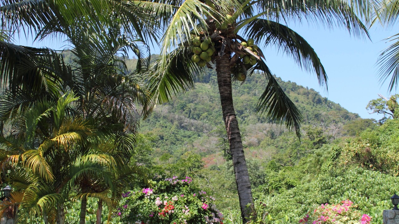Photo of Outdoor in Sa Khu