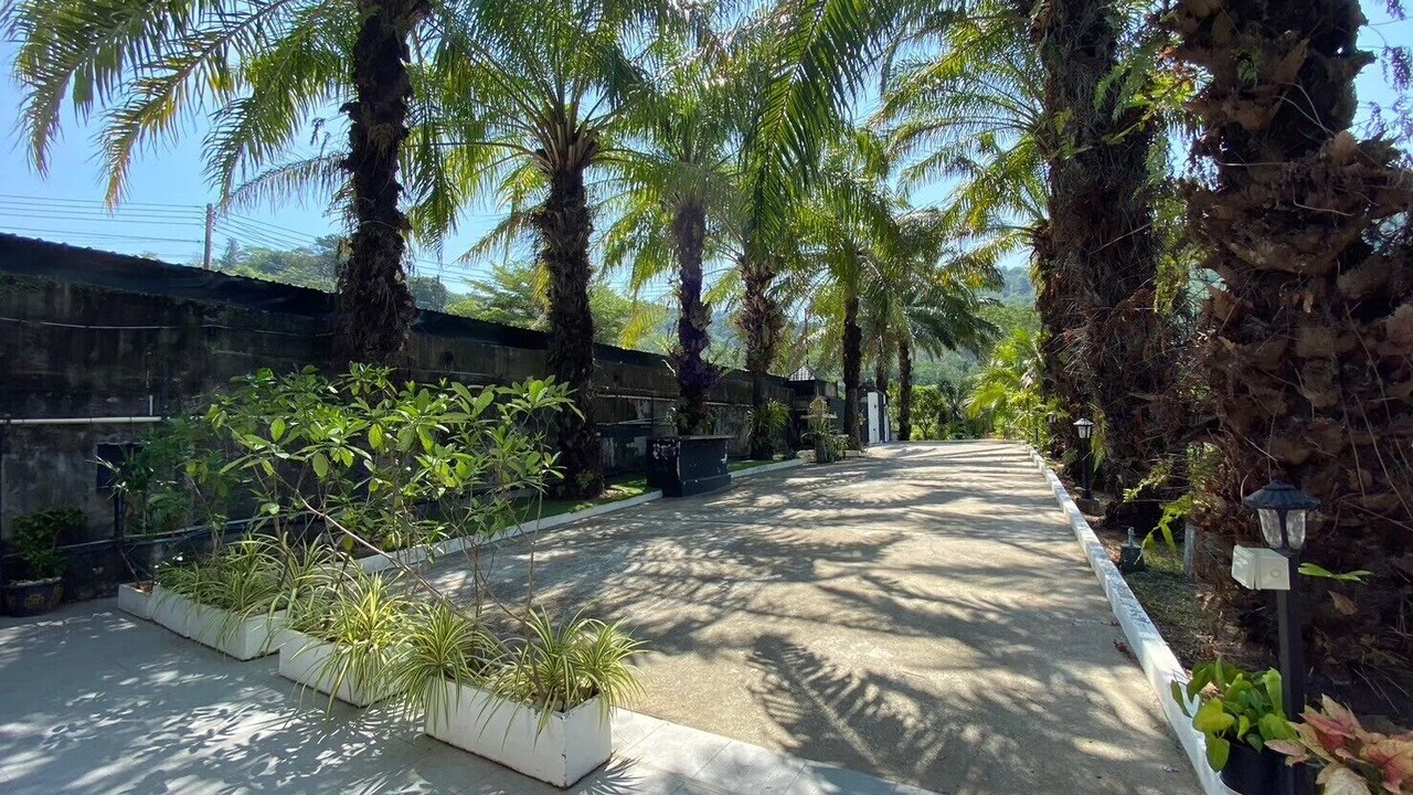 Photo of Outdoor in Chalong