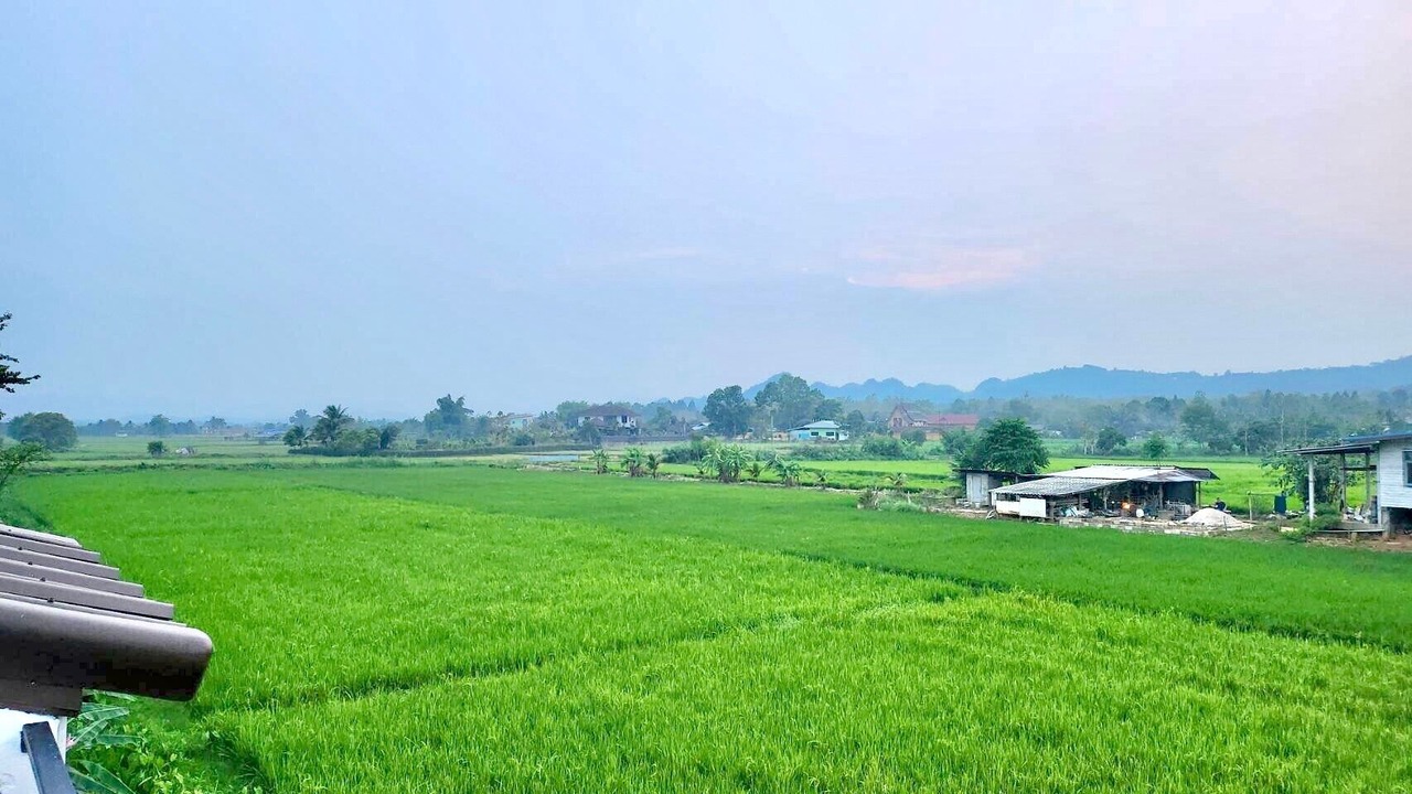 Photo of Outdoor in Mae Rai
