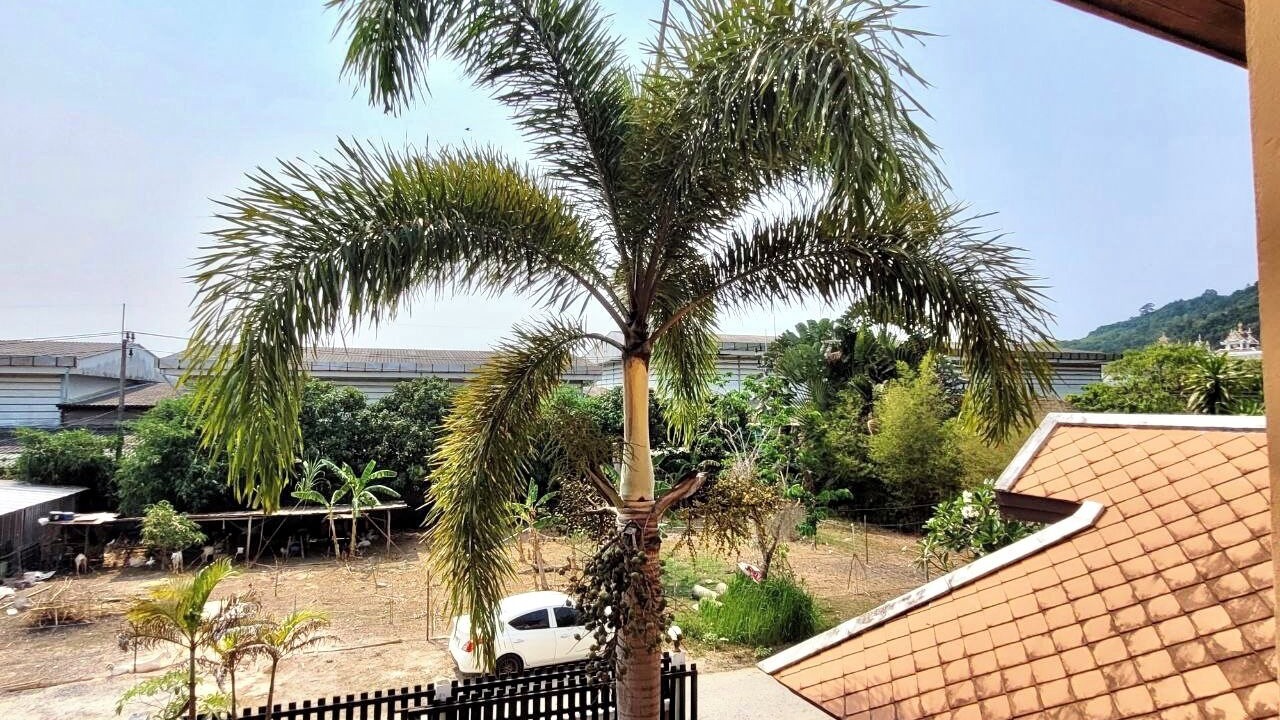 Photo of Outdoor in Kamala