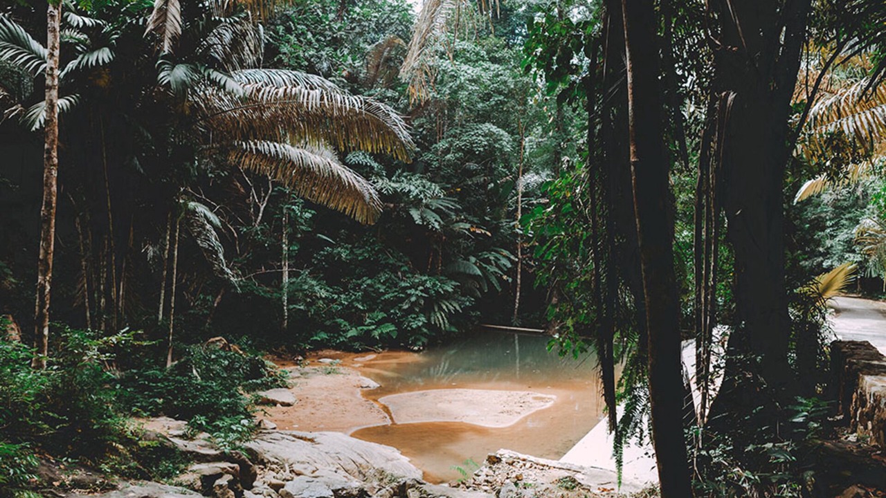 Photo of Outdoor in Sa Khu