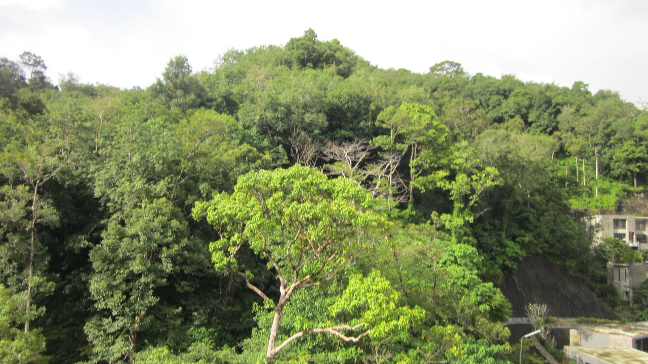 Photo of Others in Kamala