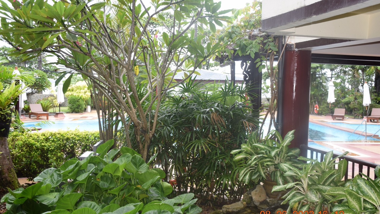 Photo of Outdoor in Patong