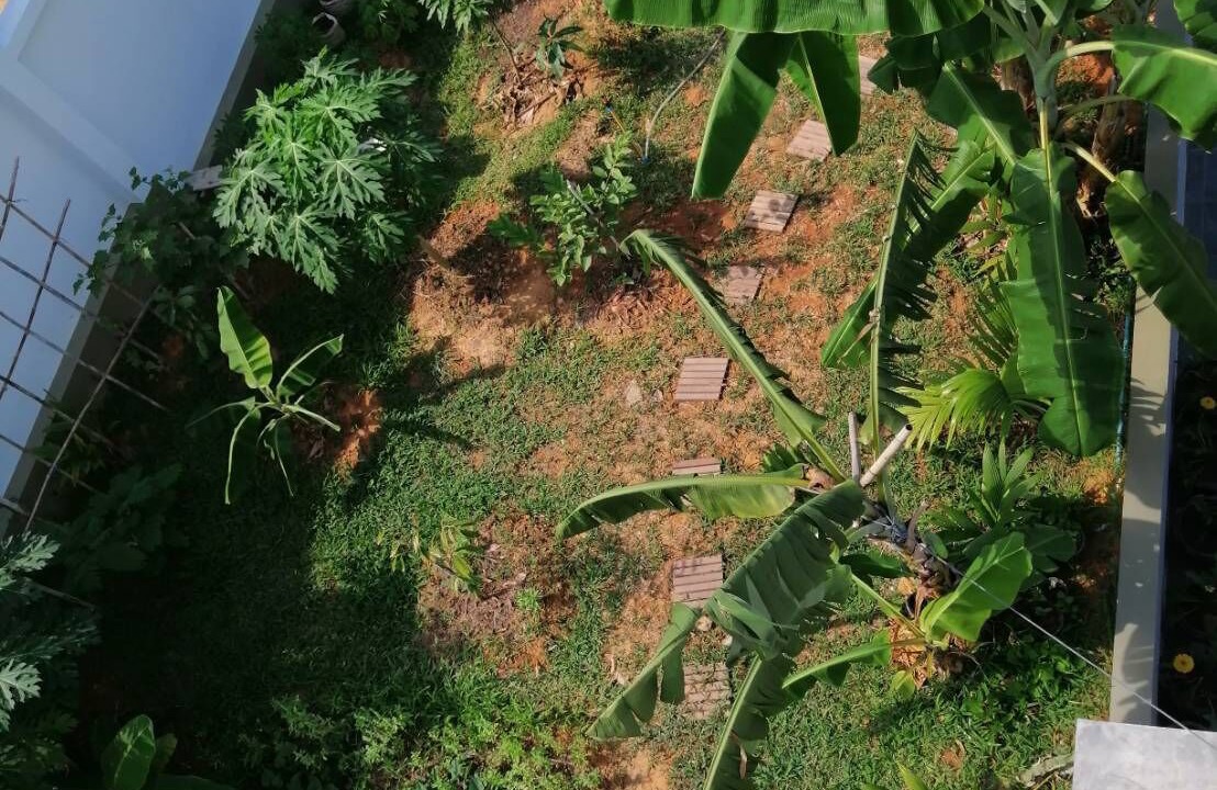 Photo of Outdoor in Thep Kasattri