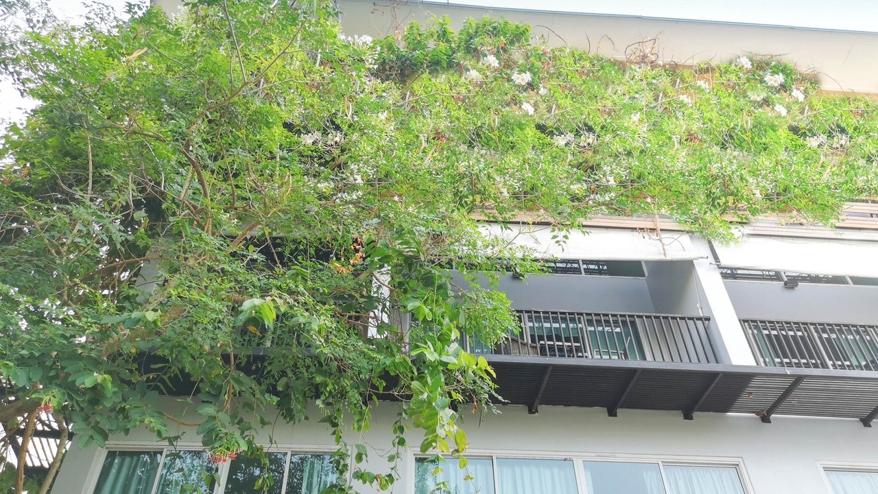 Photo of Patio Balcony in Jomtien