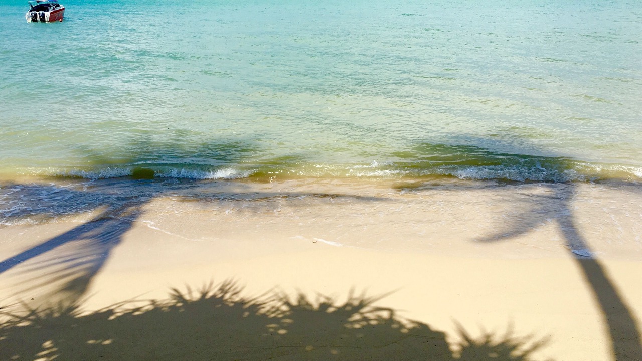 Photo of Others in Nai Harn