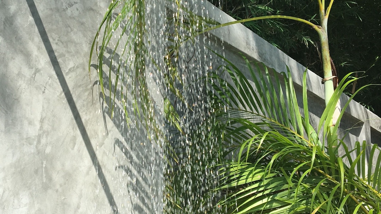 Photo of Outdoor in Nai Harn