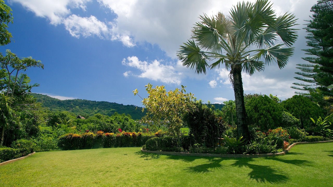 Photo of Outdoor in Rawai