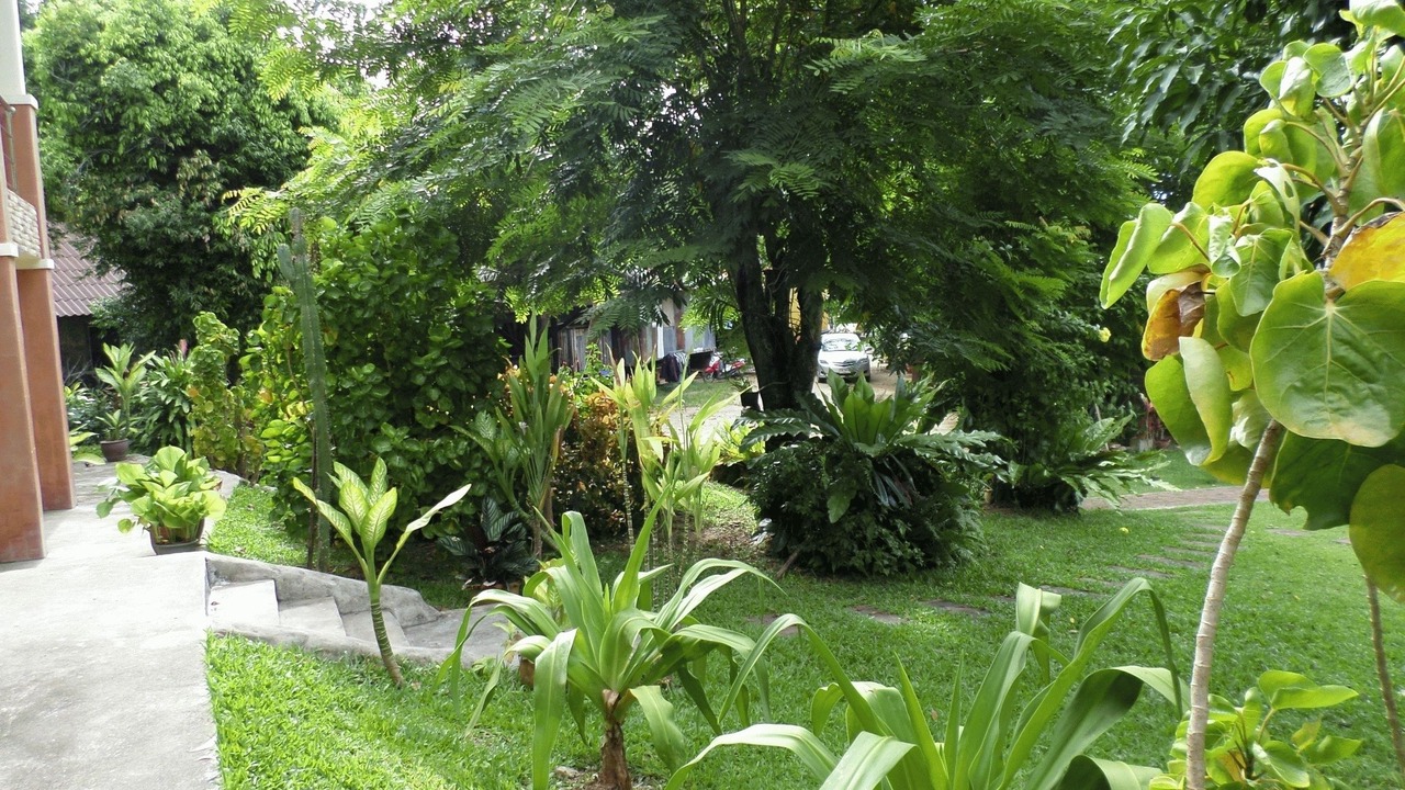 Photo of Others in Kata