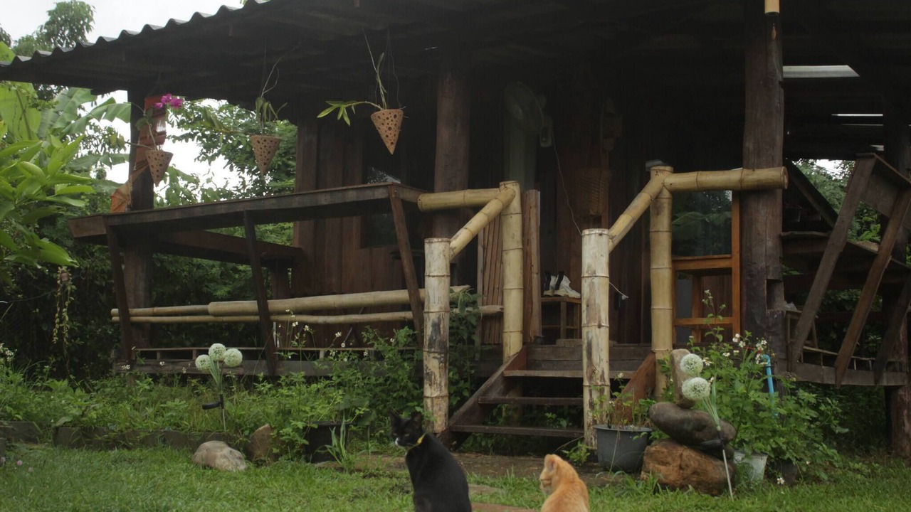 Photo of Outdoor in Mueang Ngai
