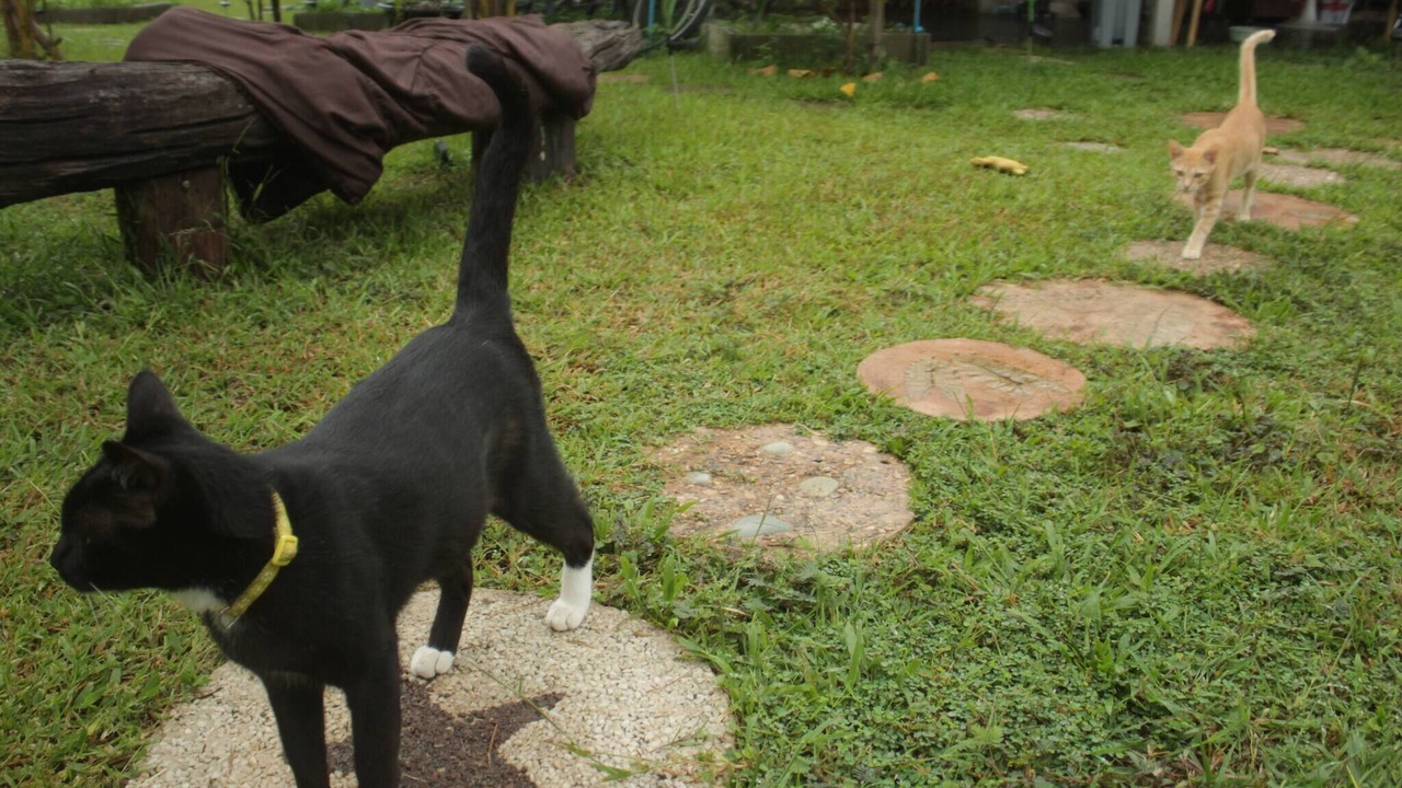 Photo of Outdoor in Mueang Ngai