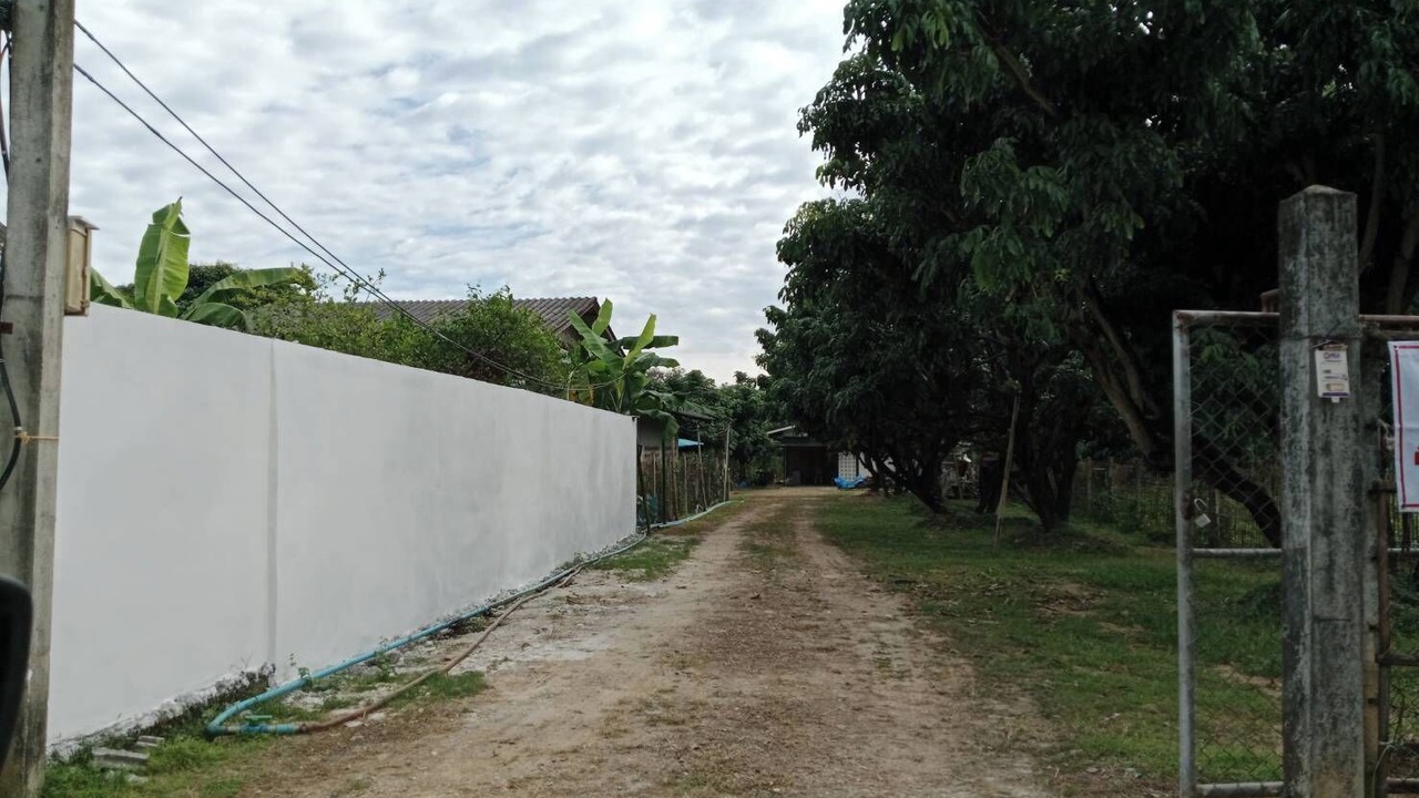 Photo of Others in San Sai