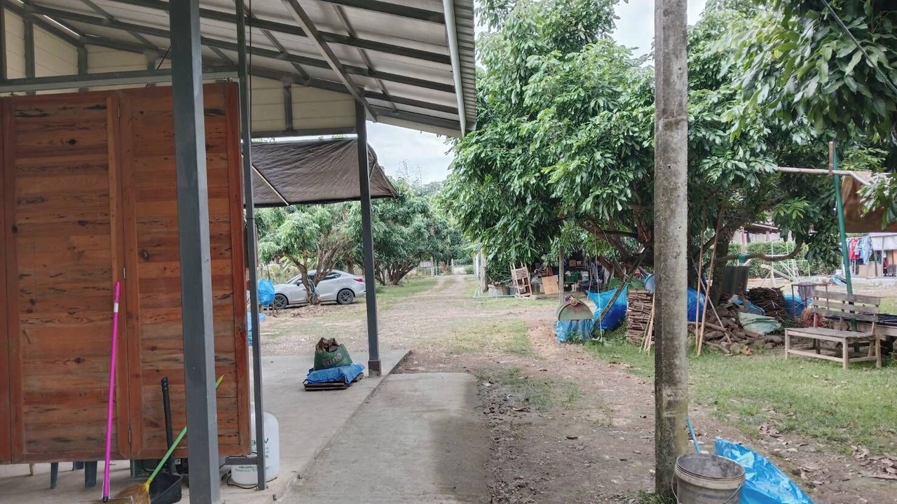 Photo of Others in San Sai