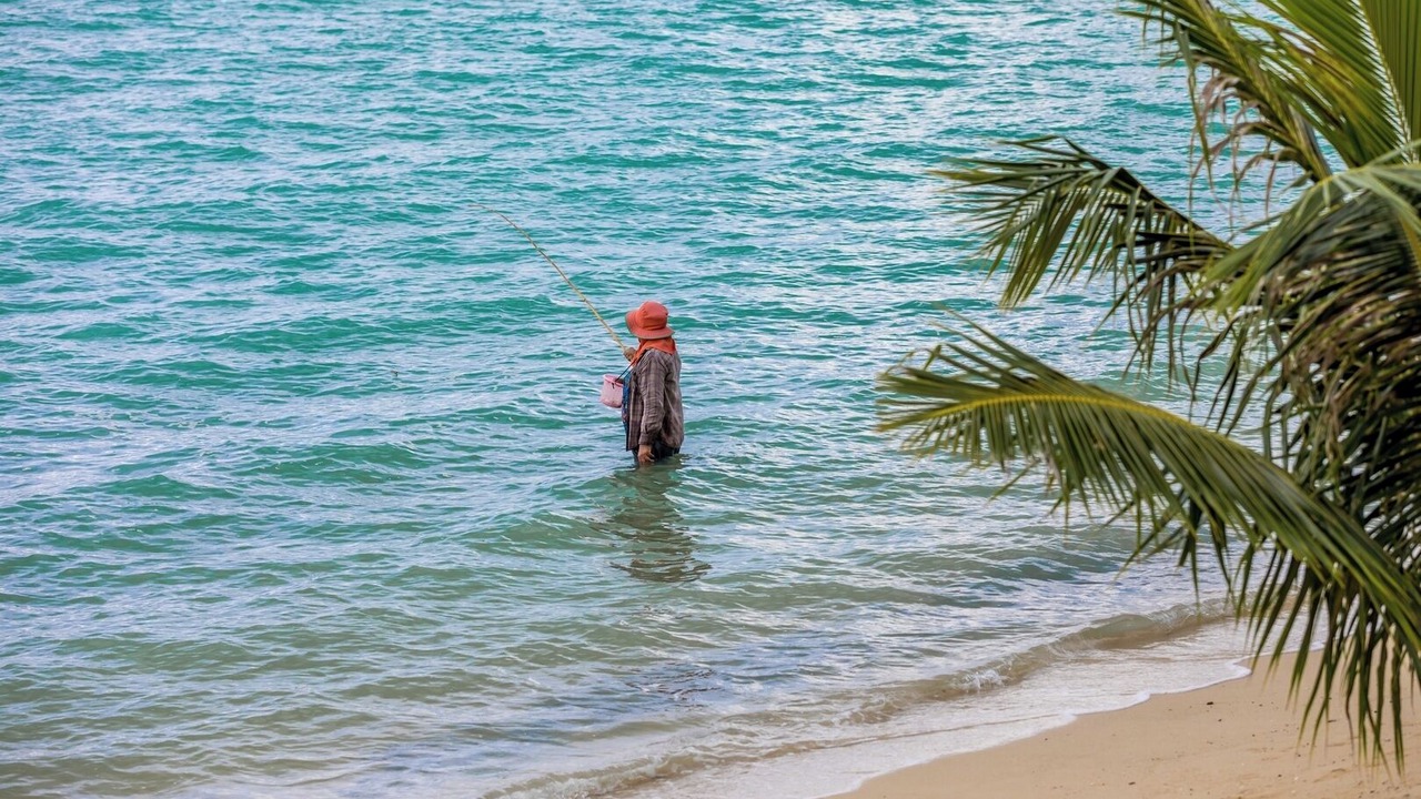 Photo of Others in Plai Laem
