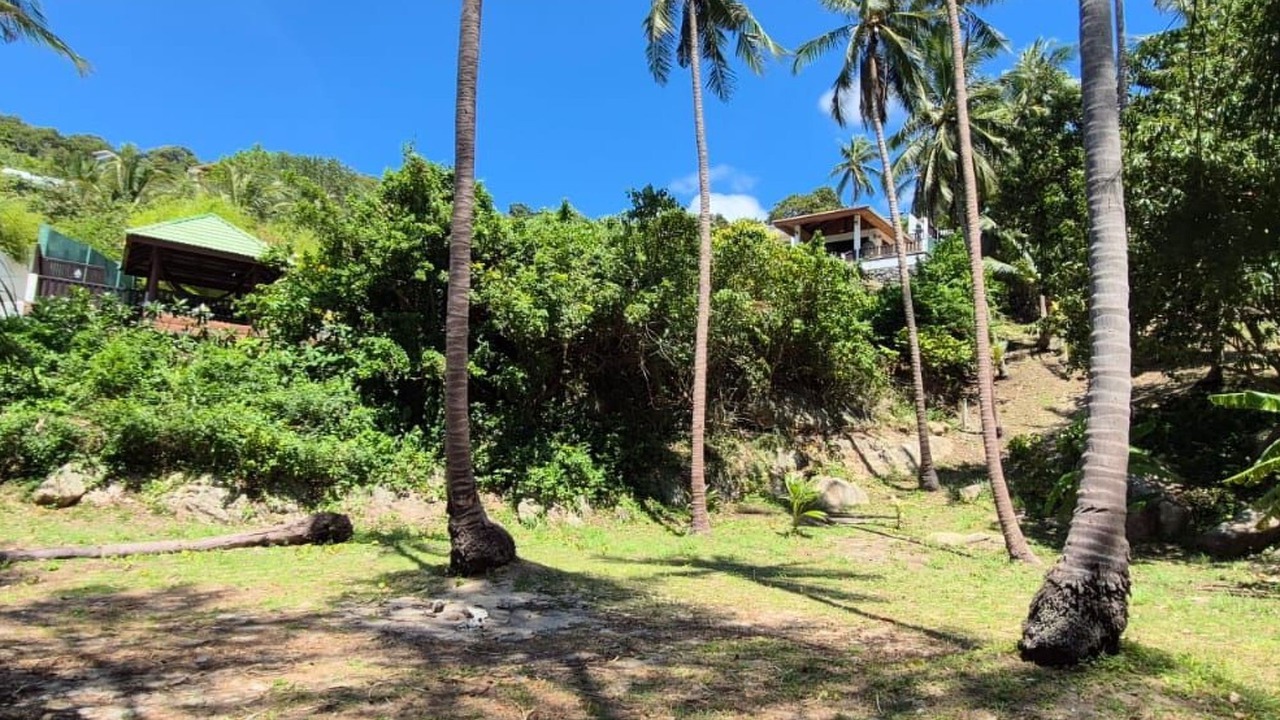 Photo of Others in Ko Pha-ngan