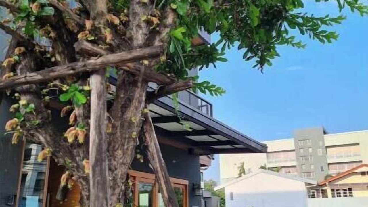 Photo of Patio Balcony in Thung Song Hong