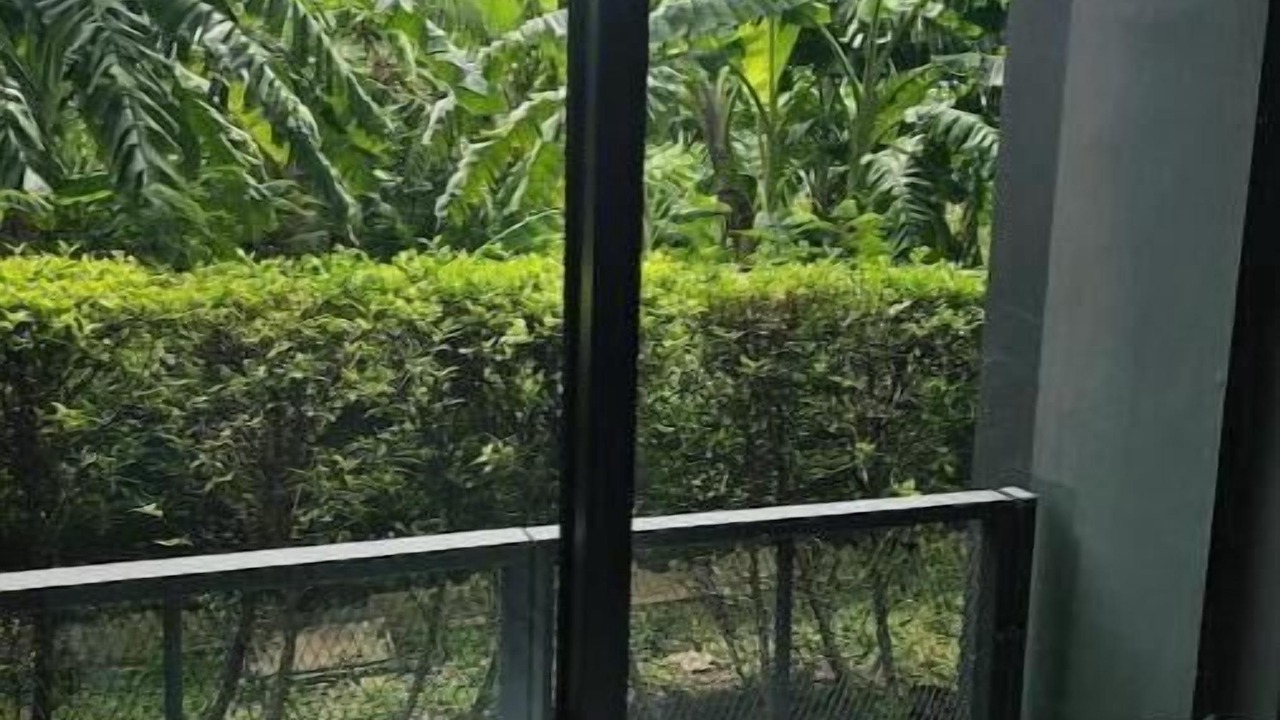 Photo of Outdoor in Thung Song Hong