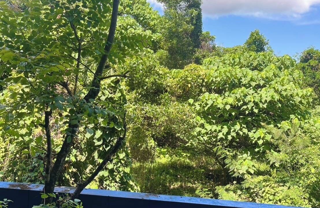 Photo of Outdoor in Phuket