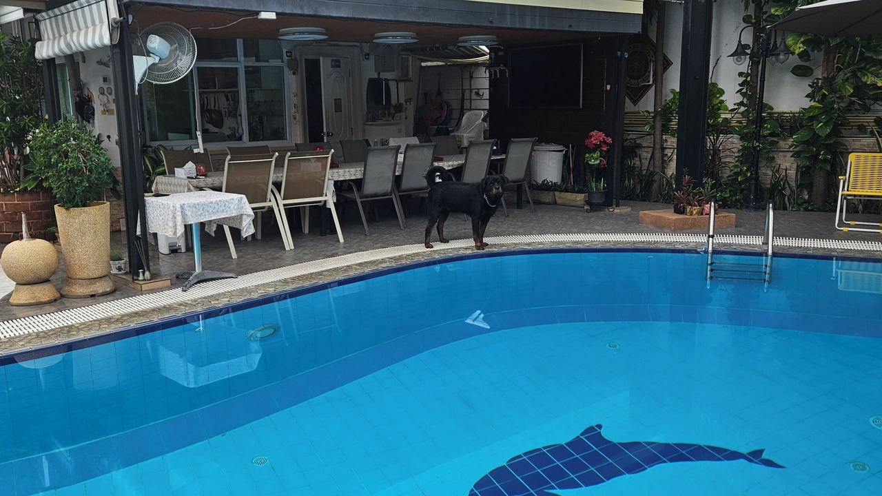Photo of Outdoor in San Sai