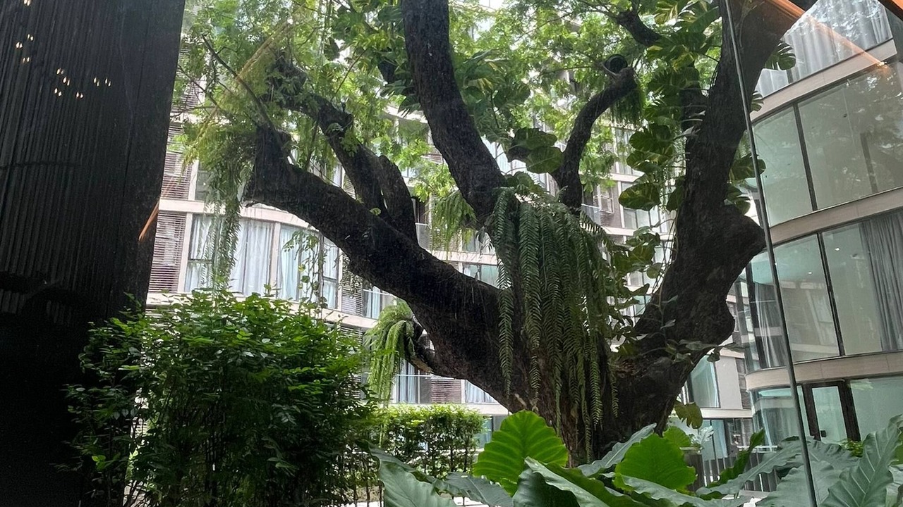 Photo of Outdoor in Nana