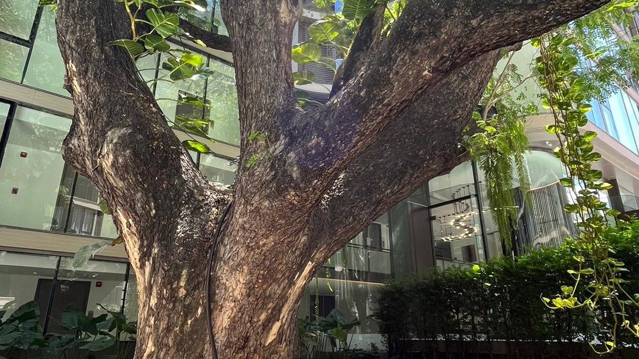Photo of Outdoor in Nana