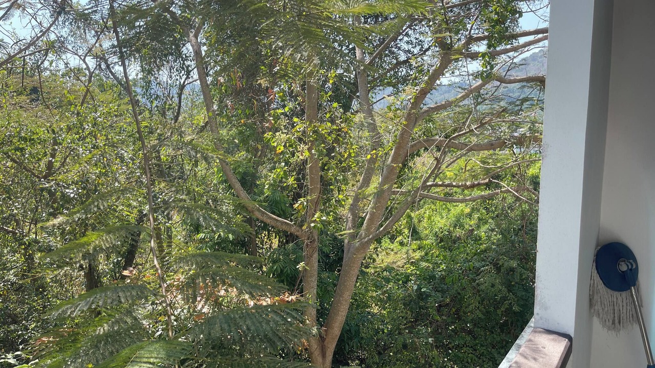 Photo of Outdoor in Ban Saiyuan