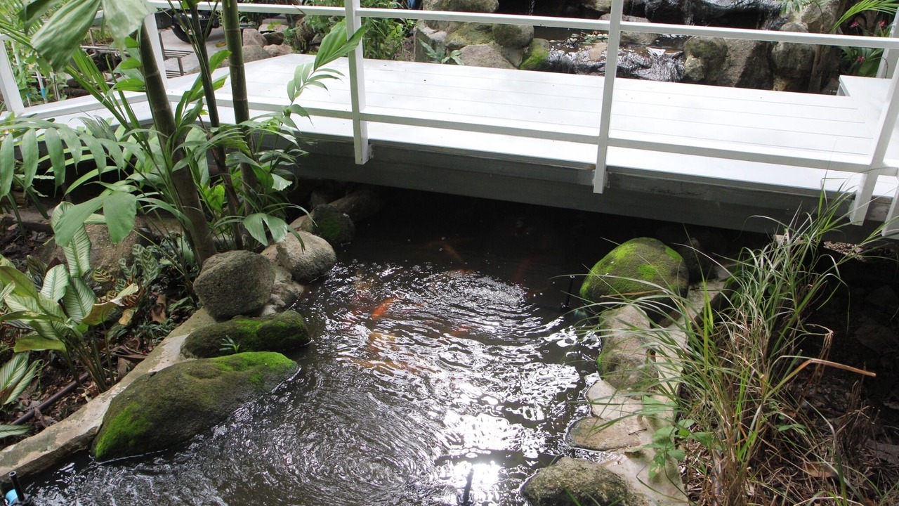 Photo of Outdoor in Lat Krabang