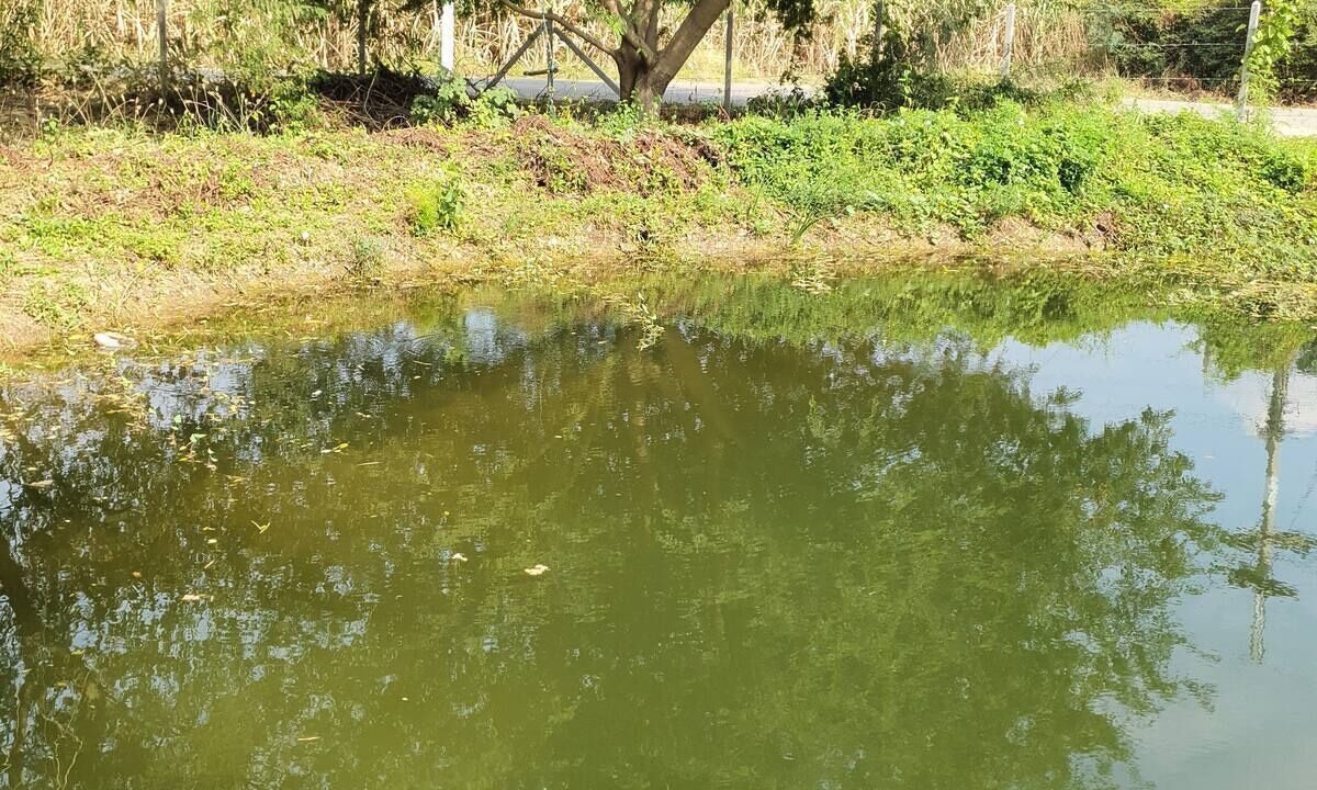 Photo of Others in Kanchanaburi