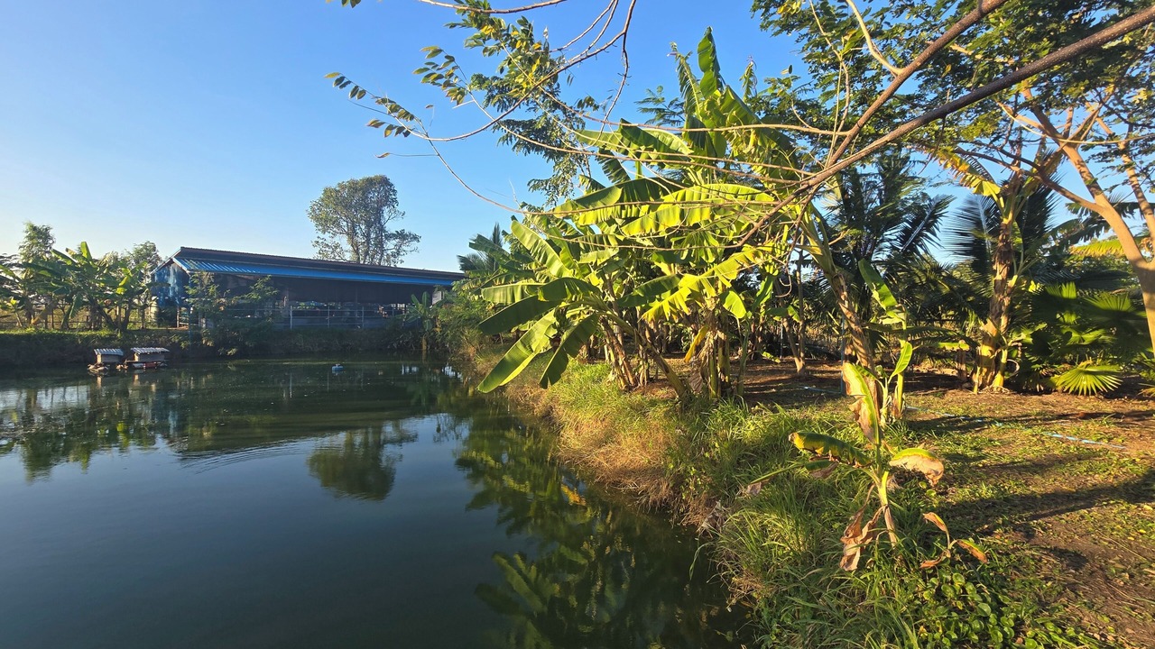 Photo of Outdoor in Non Rang