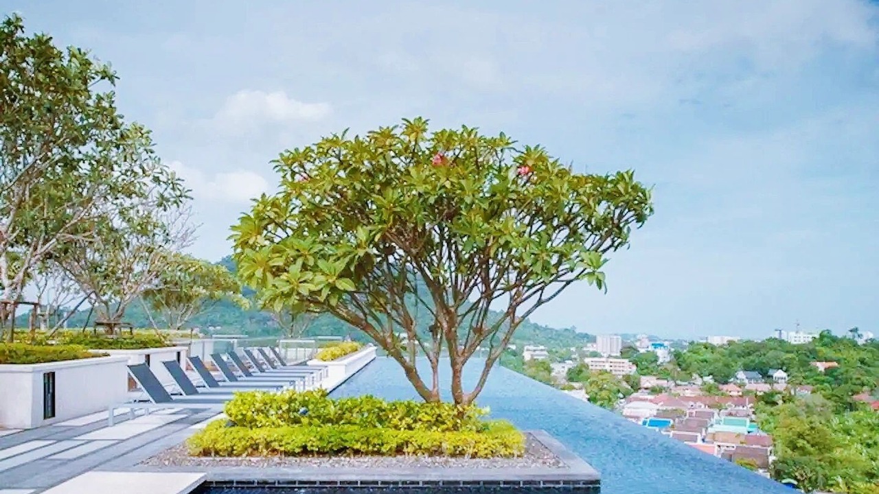 Photo of Outdoor in Phuket