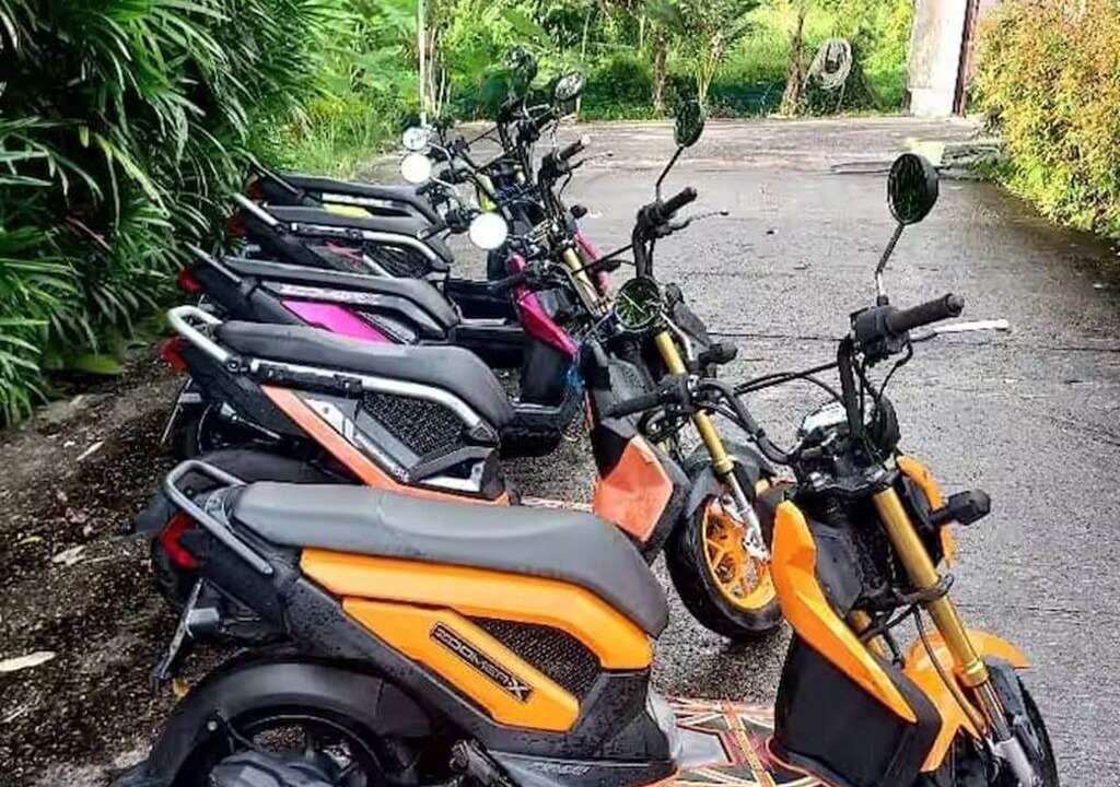 Photo of Outdoor in Kamala