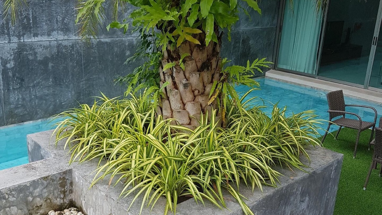 Photo of Outdoor in Rawai