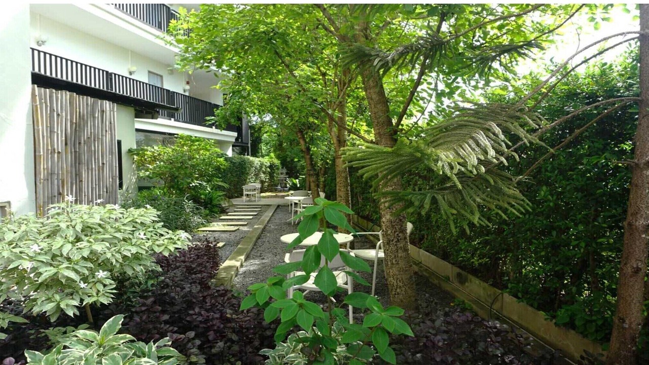 Photo of Outdoor in Chang Phueak