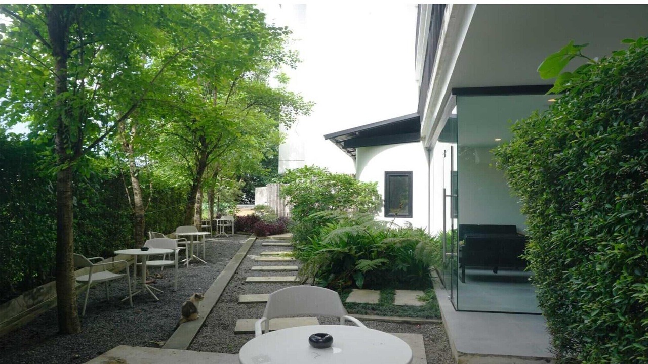 Photo of Outdoor in Chang Phueak