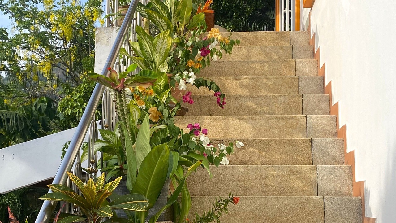 Photo of Outdoor in Karon
