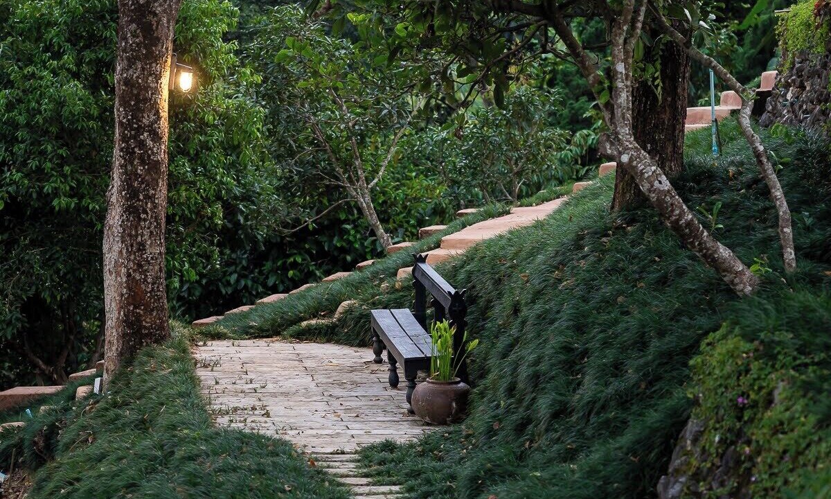 Photo of Outdoor in Mae Salong Nai