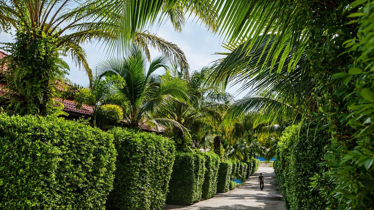 Photo of Outdoor in Krabi