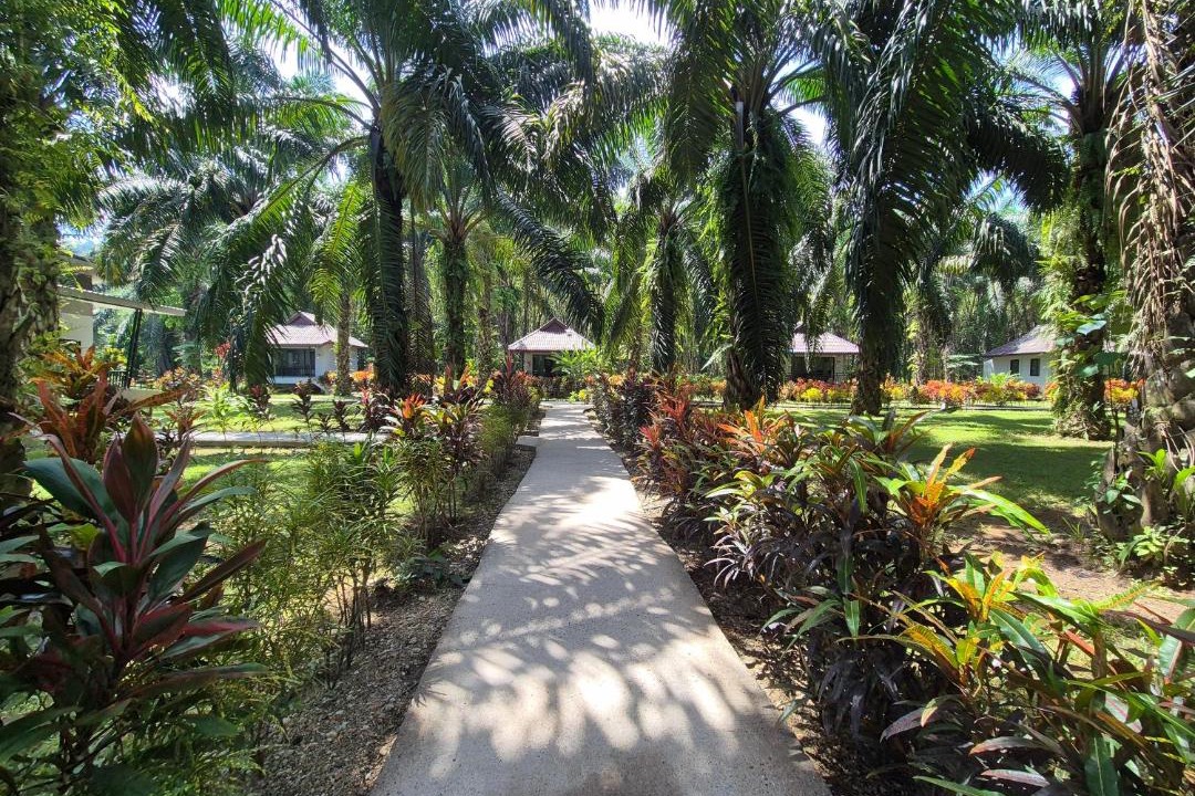 Photo of Others in Khlong Sok