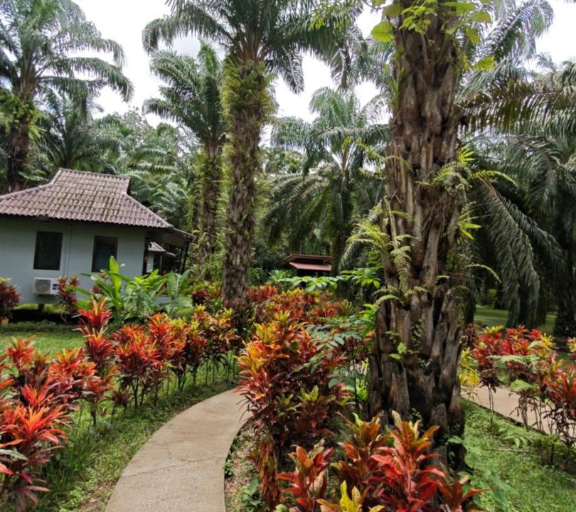 Photo of Others in Khlong Sok