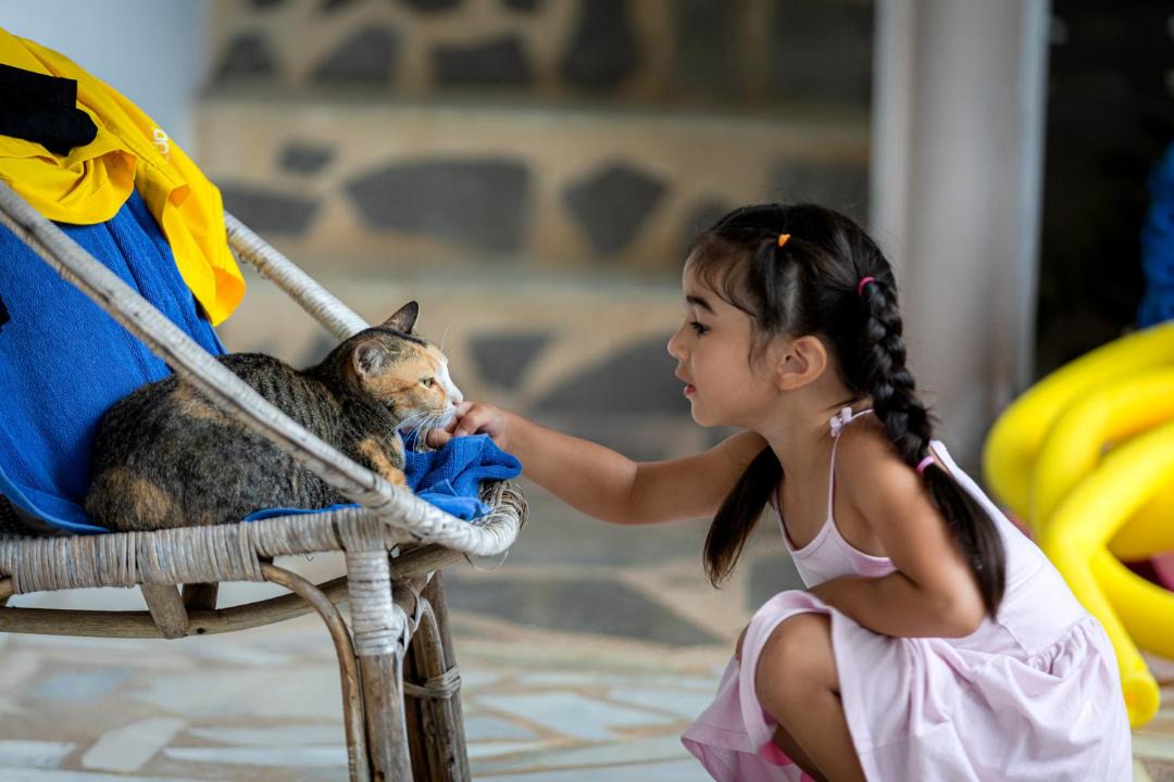 Photo of Others in Pranburi