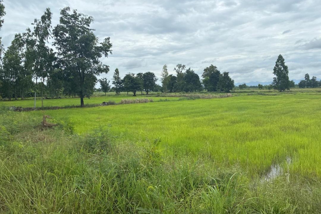 Photo of Others in Wichian Buri