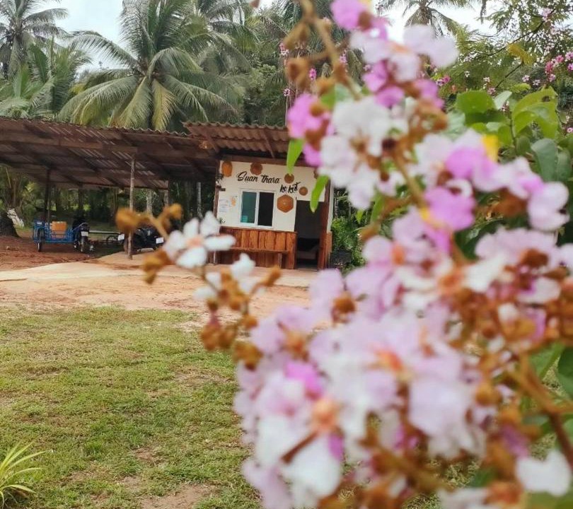 Photo of Others in Ko Kood