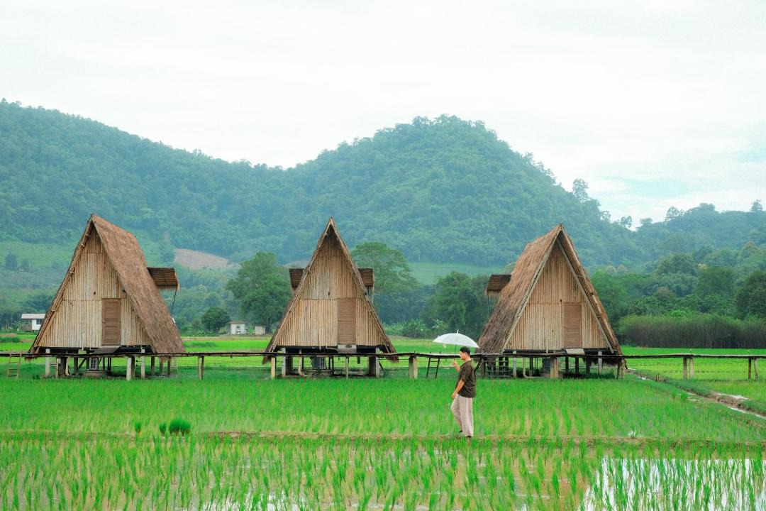 Photo of Others in Ban Ton Lung
