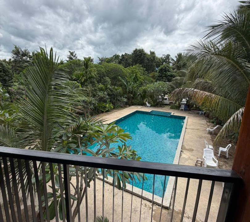 Photo of Others in Pai