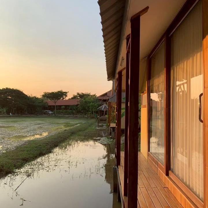 Photo of Others in Phitsanulok