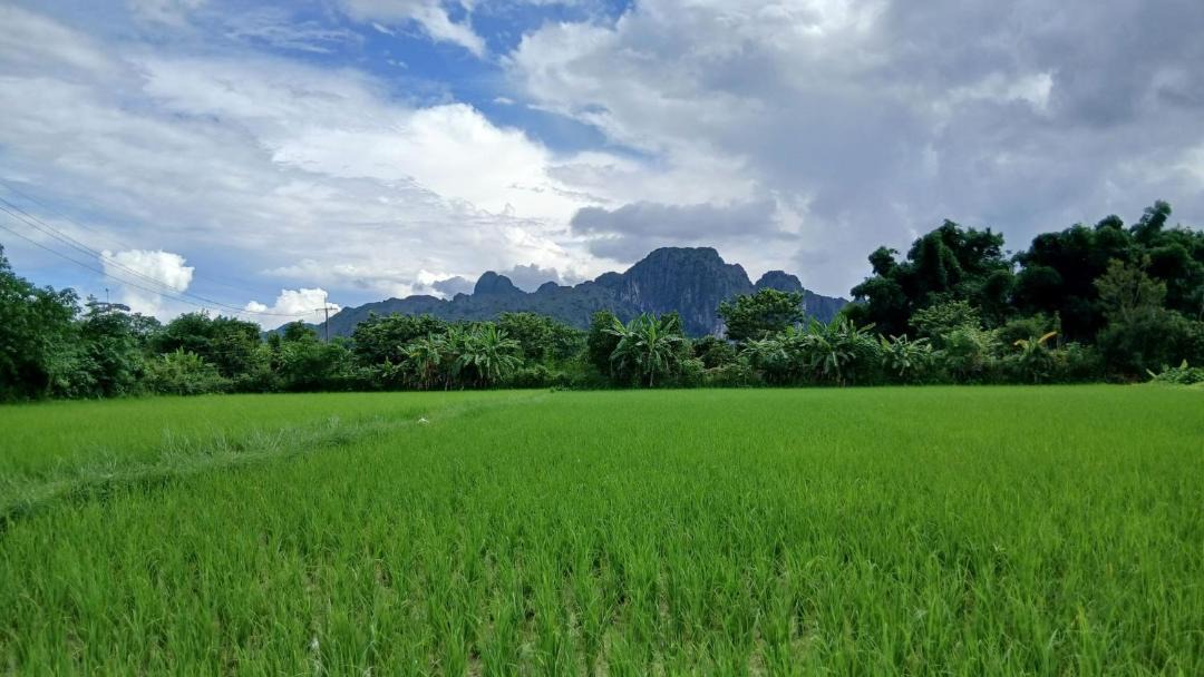 Photo of Others in Vang Vieng