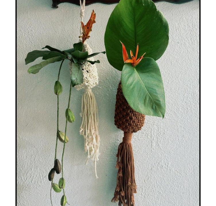 Photo of Others in Chang Phueak