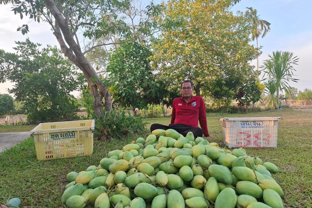 Photo of Others in Sam Chuk
