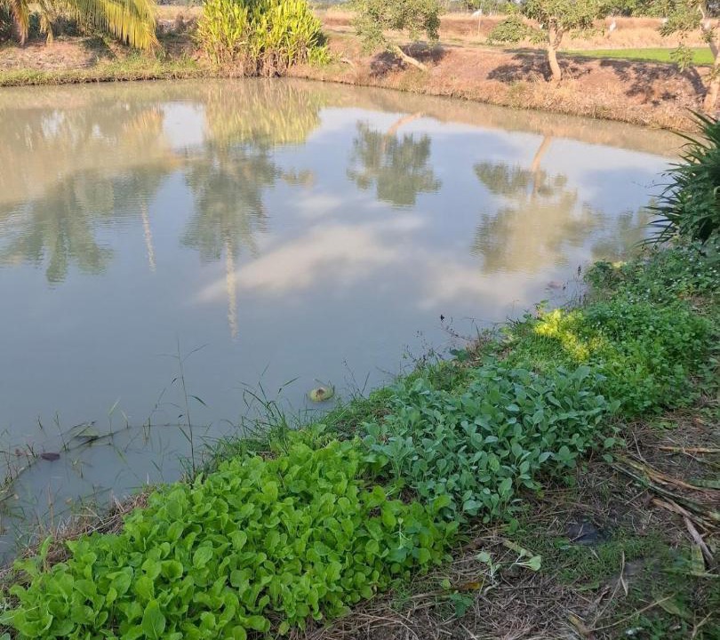 Photo of Others in Sam Chuk