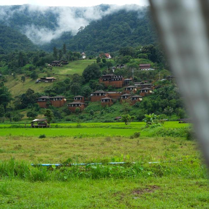 Photo of Others in Bo Kluea